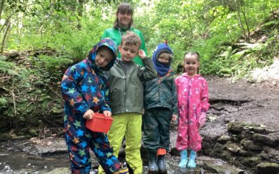 Forest schools