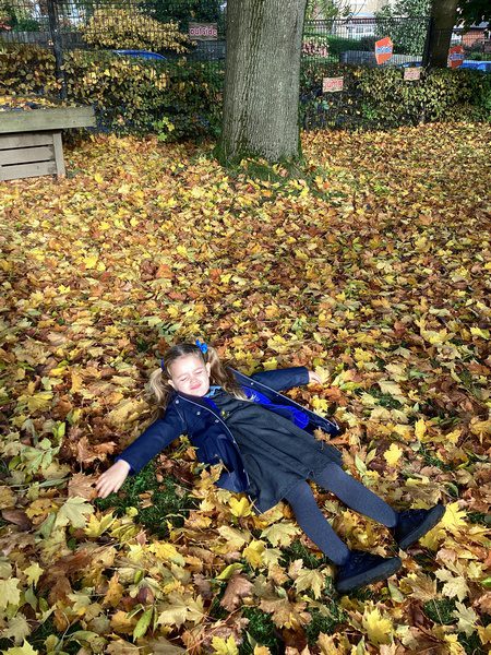 ‘Why do Leaves go Crispy?’